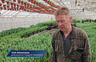 Fréttamynd